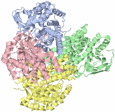 Image Asym./Biol. Unit