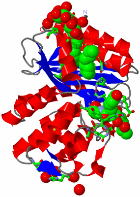 Image Asym./Biol. Unit - sites