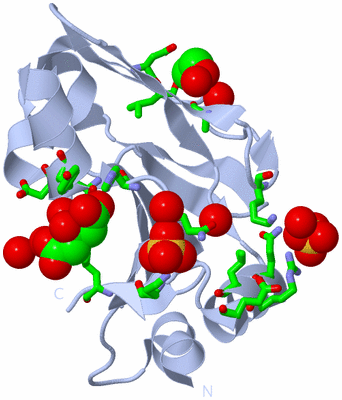 Image Biol. Unit 1 - sites