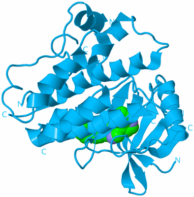 Image Biological Unit 10