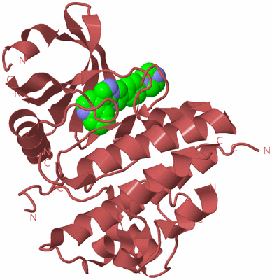 Image Biological Unit 11