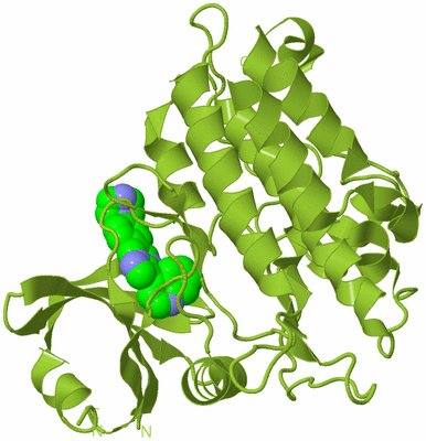 Image Biological Unit 13