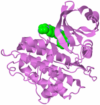 Image Biological Unit 14