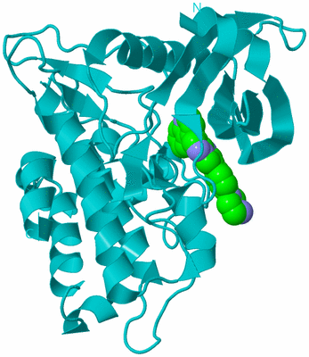 Image Biological Unit 15