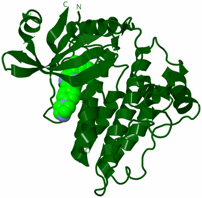 Image Biological Unit 20