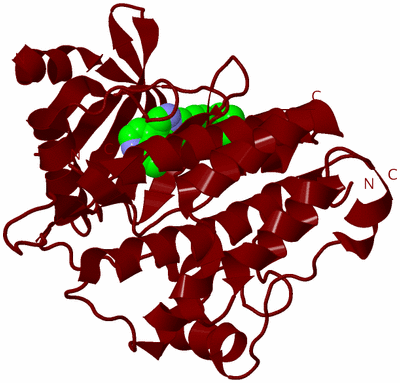 Image Biological Unit 21