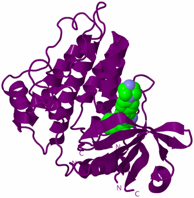 Image Biological Unit 23