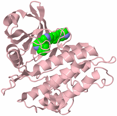 Image Biological Unit 3