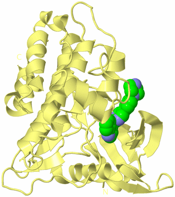 Image Biological Unit 4