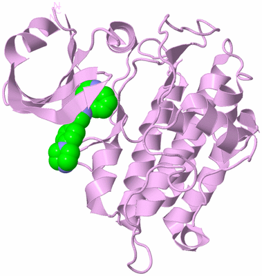 Image Biological Unit 5