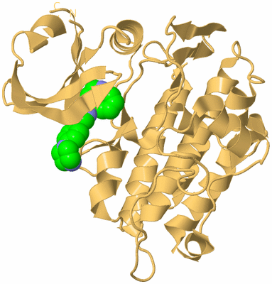 Image Biological Unit 7