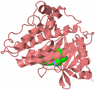 Image Biological Unit 8