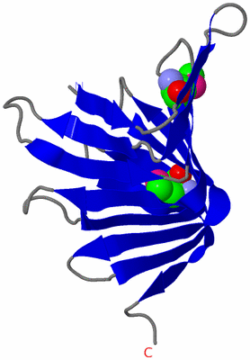 Image Asymmetric Unit