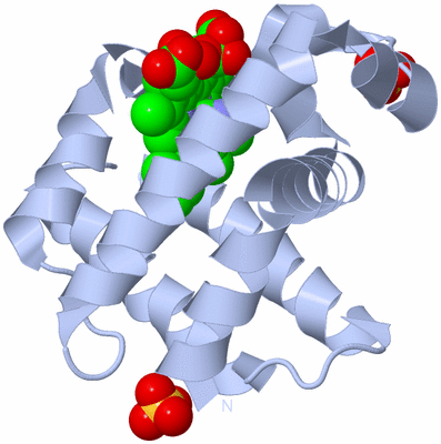 Image Biological Unit 1