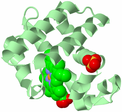 Image Biological Unit 2