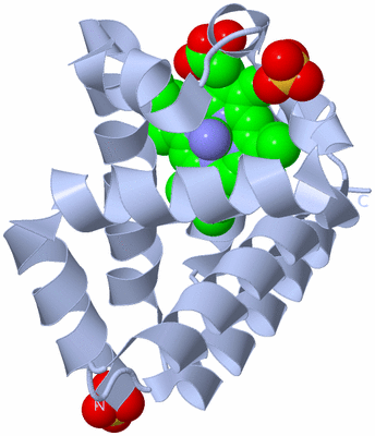 Image Biological Unit 1