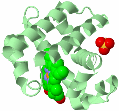 Image Biological Unit 2