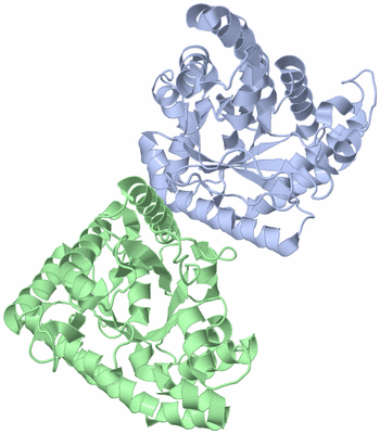 Image Asym./Biol. Unit