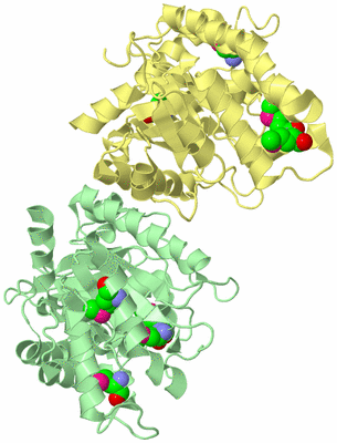 Image Biological Unit 2