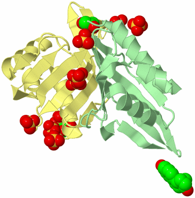 Image Biological Unit 2