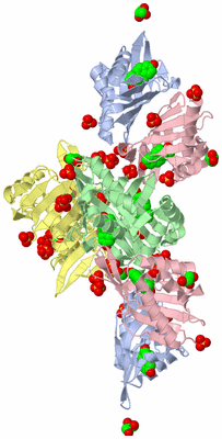 Image Biological Unit 3