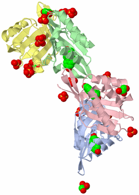 Image Biological Unit 4