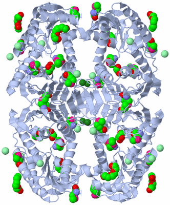 Image Biological Unit 1