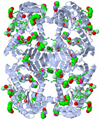 Image Biol. Unit 1 - sites