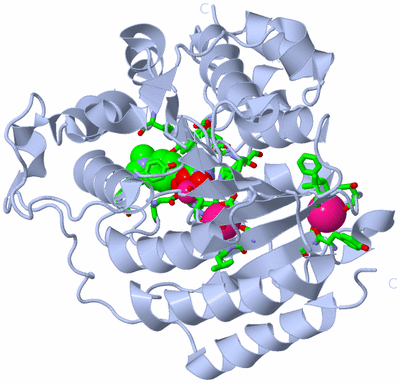 Image Biol. Unit 1 - sites