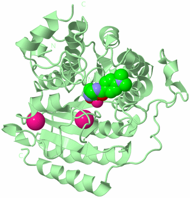 Image Biological Unit 2