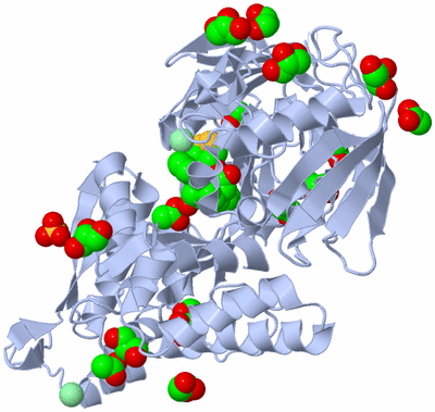 Image Biological Unit 1