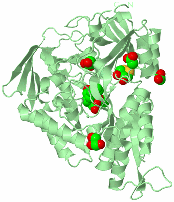 Image Biological Unit 2