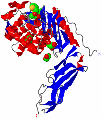 Image Asym./Biol. Unit