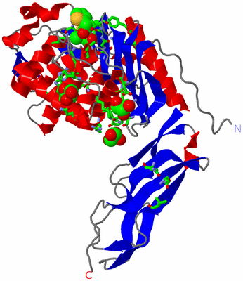 Image Asym./Biol. Unit - sites