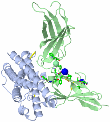 Image Asym./Biol. Unit - sites