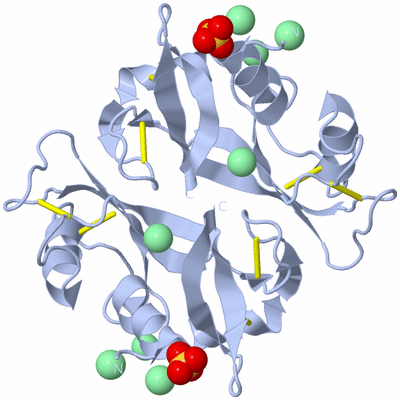 Image Biological Unit 2