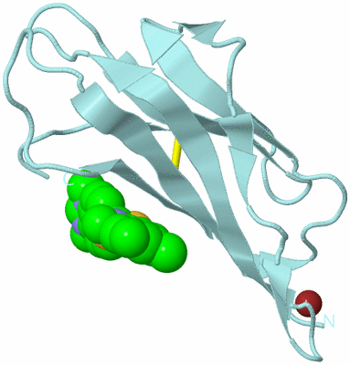 Image Biological Unit 6