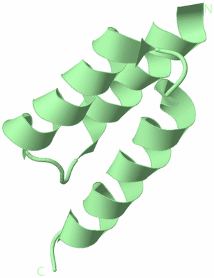 Image Biological Unit 3