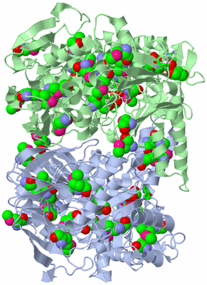 Image Asym./Biol. Unit - sites