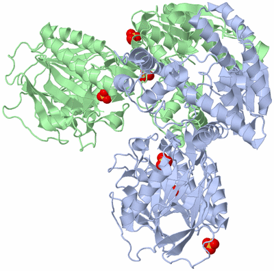 Image Asym./Biol. Unit