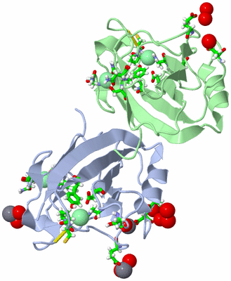 Image Biol. Unit 1 - sites