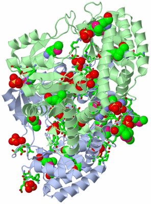 Image Asym./Biol. Unit - sites