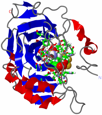 Image Asym./Biol. Unit - sites