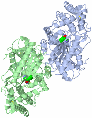 Image Biological Unit 1