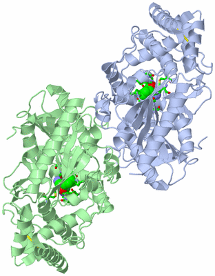 Image Biol. Unit 1 - sites