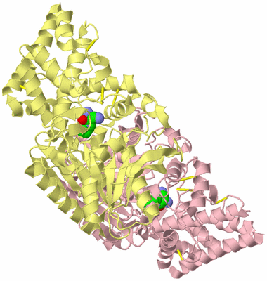 Image Biological Unit 2