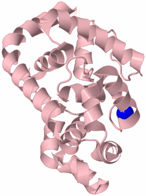 Image Biological Unit 3