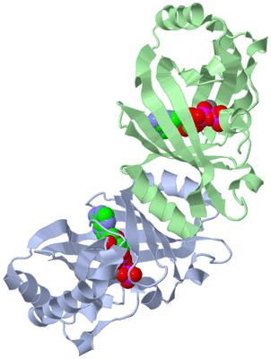 Image Asym./Biol. Unit