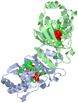 Image Asym./Biol. Unit - sites