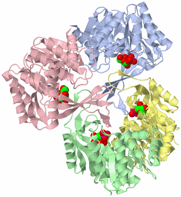 Image Asym./Biol. Unit